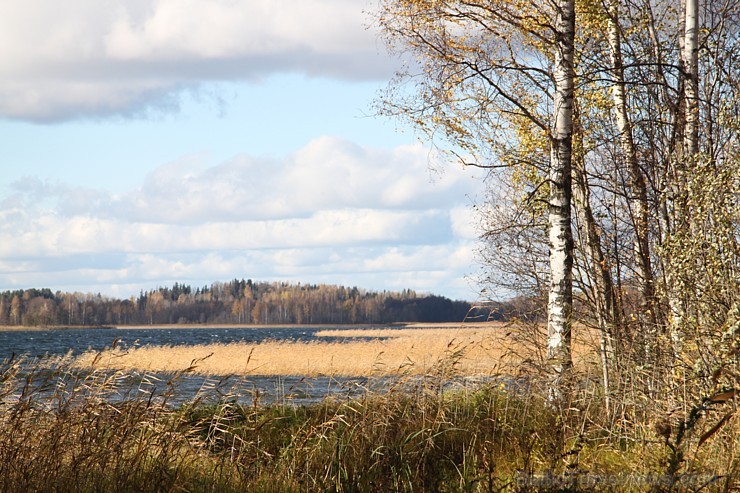 Rudens izglezno Latgali - Krāslavas novads - Sivera ezers, kas ir devītais lielākais Latvijā. Foto sponsors: www.Sirsnigi.lv Rudens izglezno Latgali - Krāslavas novads - Sivera ezers, kas ir devītais lielākais Latvijā. Foto sponsors: www.Sirsnigi.lv 107853