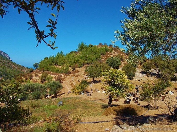 Džipu tūre Ziemeļkipras kalnos (Jeep tour in the mountains of Northern Cyprus). Vairāk informācijas interneta vietnē www.latviatours.lv Džipu tūre Ziemeļkipras kalnos (Jeep tour in the mountains of Northern Cyprus). Vairāk informācijas interneta vietnē www.latviatours.lv 107882