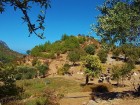 Džipu tūre Ziemeļkipras kalnos (Jeep tour in the mountains of Northern Cyprus). Vairāk informācijas interneta vietnē www.latviatours.lv 19