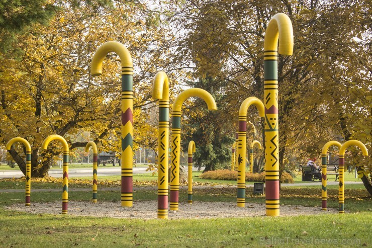 Siguldas spieķu parks ir veltījums Siguldas raksturīgākajam suvenīram – pastaigu spieķim 107909