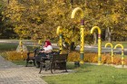 Siguldas spieķu parks ir veltījums Siguldas raksturīgākajam suvenīram – pastaigu spieķim 6