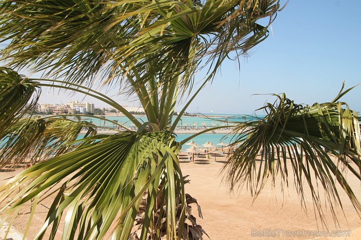Travelnews.lv iepazīst Hurgadas viesnīcu Festival Shedwan Golden Beach Resort, ko piedāvā starptautiskais tūroperators GoAdventure 108518