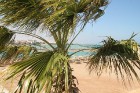 Travelnews.lv iepazīst Hurgadas viesnīcu Festival Shedwan Golden Beach Resort, ko piedāvā starptautiskais tūroperators GoAdventure 15