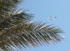 Travelnews.lv iepazīst Hurgadas viesnīcu Festival Shedwan Golden Beach Resort, ko piedāvā starptautiskais tūroperators GoAdventure 30