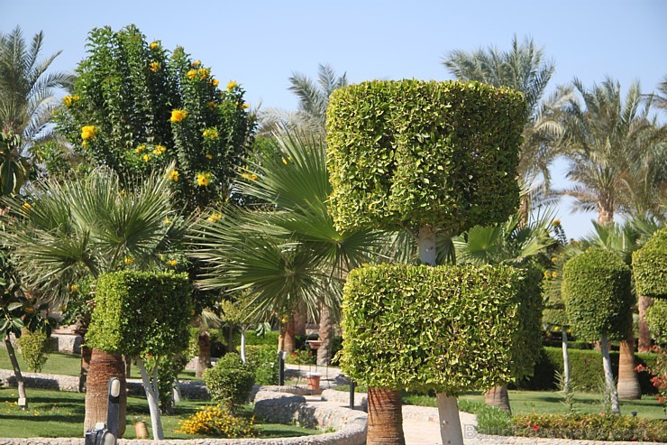 Travelnews.lv iepazīst Hurgadas viesnīcu Festival Le Jardin Resort, ko piedāvā starptautiskais tūroperators GoAdventure Travelnews.lv iepazīst Hurgadas viesnīcu Festival Le Jardin Resort, ko piedāvā starptautiskais tūroperators GoAdventure 108636
