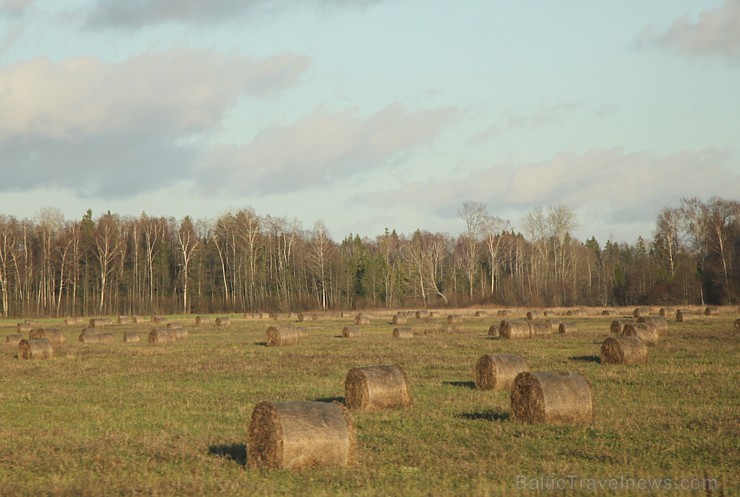 Lauksaimniecības lauku ainavas 108978