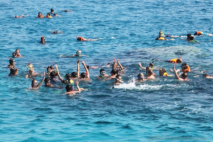 Snorkelēšana Sarkanajā jūrā ir gandrīz kā pienākums katram tūristam  - vairāk informācijas par ceļojumiem uz Ēģipti skatiet pie GoAdventure 109024