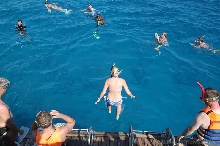 Snorkelēšana Sarkanajā jūrā ir gandrīz kā pienākums katram tūristam  - vairāk informācijas par ceļojumiem uz Ēģipti skatiet pie GoAdventure 109025