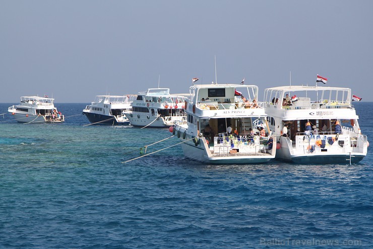 Snorkelēšana Sarkanajā jūrā ir gandrīz kā pienākums katram tūristam  - vairāk informācijas par ceļojumiem uz Ēģipti skatiet pie GoAdventure 109041