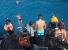 Snorkelēšana Sarkanajā jūrā ir gandrīz kā pienākums katram tūristam  - vairāk informācijas par ceļojumiem uz Ēģipti skatiet pie GoAdventure 7