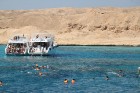 Snorkelēšana Sarkanajā jūrā ir gandrīz kā pienākums katram tūristam  - vairāk informācijas par ceļojumiem uz Ēģipti skatiet pie GoAdventure 16