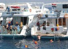 Snorkelēšana Sarkanajā jūrā ir gandrīz kā pienākums katram tūristam  - vairāk informācijas par ceļojumiem uz Ēģipti skatiet pie GoAdventure 17