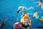 Snorkelēšana Sarkanajā jūrā ir gandrīz kā pienākums katram tūristam  - vairāk informācijas par ceļojumiem uz Ēģipti skatiet pie GoAdventure 18
