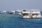Snorkelēšana Sarkanajā jūrā ir gandrīz kā pienākums katram tūristam  - vairāk informācijas par ceļojumiem uz Ēģipti skatiet pie GoAdventure 20