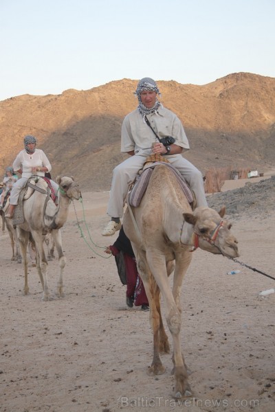 Kopā ar kamieļiem un beduīņiem tuksnesī pie Hurgadas. Vairāk informācijas par ceļojumiem uz Ēģipti pie tūroperatora GoAdventure 109109