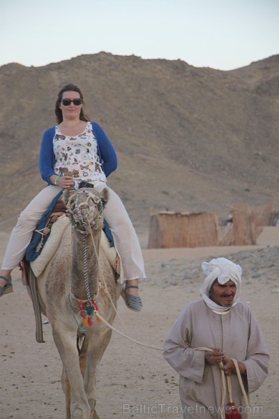 Kopā ar kamieļiem un beduīņiem tuksnesī pie Hurgadas. Vairāk informācijas par ceļojumiem uz Ēģipti pie tūroperatora GoAdventure 109111