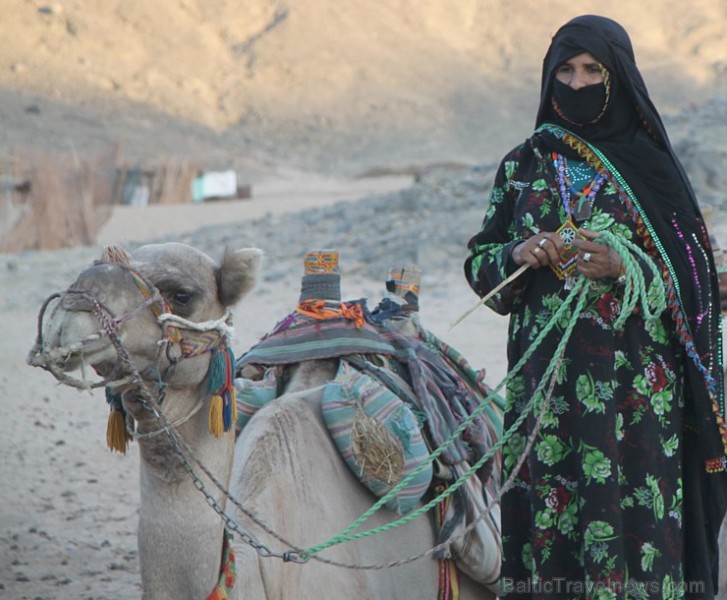 Kopā ar kamieļiem un beduīņiem tuksnesī pie Hurgadas. Vairāk informācijas par ceļojumiem uz Ēģipti pie tūroperatora GoAdventure 109112