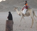 Kopā ar kamieļiem un beduīņiem tuksnesī pie Hurgadas. Vairāk informācijas par ceļojumiem uz Ēģipti pie tūroperatora GoAdventure 23