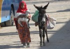 Tūristu autobusu pieturvietās beduīni par naudu ļaujas fotografēties kopā ar dzīvniekiem. Vairāk par ceļojumiem uz Ēģipti - www.goadventure.lv 2
