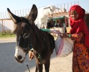 Tūristu autobusu pieturvietās beduīni izklaidē ārzemniekus. Vairāk par ceļojumiem uz Ēģipti - www.goadventure.lv 7