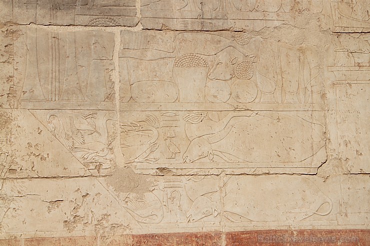 Travelnews.lv apmeklē valdnieces Hatšepsutas templi Luksorā. Vairāk informācijas par ceļojumiem uz Ēģipti - www.GoAdventure.lv 109707