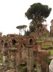 Relaks Tūre kliente dalās foto iespaidos par Romas apmeklējumu ceļojuma Itālijas pieskāriens ietvaros www.relaksture.lv 34