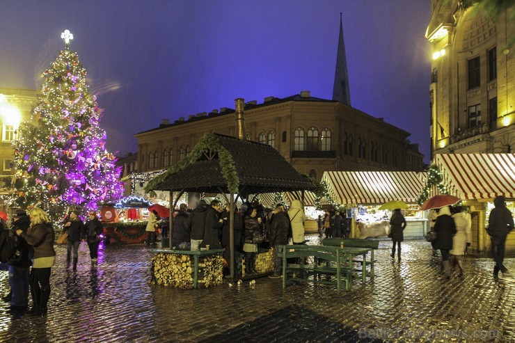 Pirmajā Adventē Doma laukumā iededz Rīgas galveno Ziemassvētku egli 110254