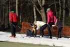 30.11.2013 Siguldā tika atklāta Austrumeiropā pirmā saldētā distanču slēpošanas trase, kas ļauj uzsākt distanču slēpošanas sezonu vēl pirms dabīgā sni 14