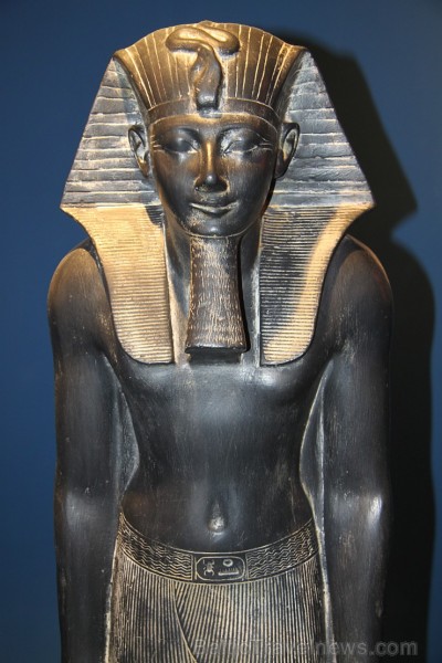 MUSEUM OF ANCIENT EGYPTIAN HERITAGE - www.pickalbatrosresorts.com 110378