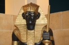 MUSEUM OF ANCIENT EGYPTIAN HERITAGE - www.pickalbatrosresorts.com 16