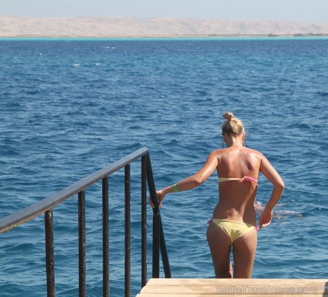 Travelnews.lv dzīvo un iepazīst Hurgadas viesnīcu «SunrisE Holidays Resort». Vairāk informācijas par ceļojumiem uz Ēģipti - www.goadventure.lv Travelnews.lv dzīvo un iepazīst Hurgadas viesnīcu «SunrisE Holidays Resort». Vairāk informācijas par ceļojumiem uz Ēģipti - www.goadventure.lv 110652