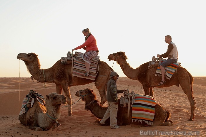 Pastaiga ar kamieļiem, Sahāras tuksnesis 111615