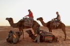 Pastaiga ar kamieļiem, Sahāras tuksnesis 87