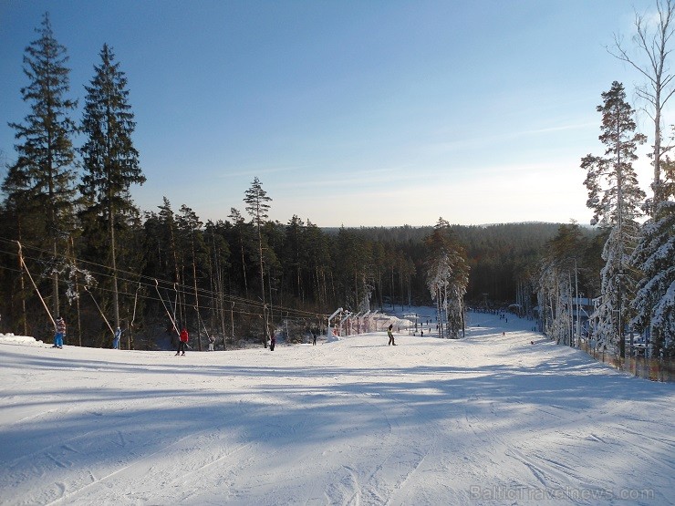 26.01.2014 Riekstukalna apmeklētājus sals nebiedēja. Par spīti lielajam aukstumam ziemas priekus baudīja gan mazi, gan lieli 113333