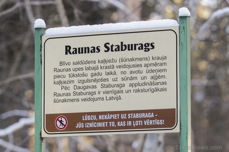 Raunas staburags ir aptuveni 3,5 m augsts un 17 m garš šūnakmens veidojums un tas ir vienīgais šāda veida dabas objekts Latvijā pēc Daugavas Staburaga 113712