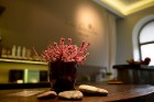 La Daile (Latvijas Daile) ir latvju tradīciju iedvesmots mierpilns SPA & SPE centrs Rīgā skaistai esībai. Vairāk informācijas www.ladaile.lv 10