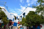 Sidi Bou Said - gleznainais andalūziešu ciematiņš ar baltajām sienām, ar kurām kontrastē debeszilās durvis un gleznie logu rāmji. Vairāk informācijas  9
