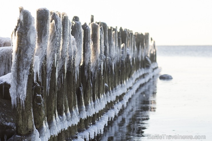 Katru ziemu Tūjas pludmale pārvēršas par dabas radītu mākslas darbu 115357