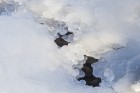 Katru ziemu Tūjas pludmale pārvēršas par dabas radītu mākslas darbu 9