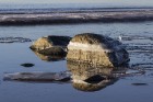 Katru ziemu Tūjas pludmale pārvēršas par dabas radītu mākslas darbu 22