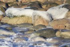 Katru ziemu Tūjas pludmale pārvēršas par dabas radītu mākslas darbu 24