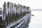 Katru ziemu Tūjas pludmale pārvēršas par dabas radītu mākslas darbu 31