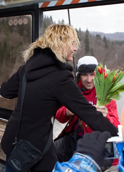 Siguldas Vagoniņa pasažieres Sieviešu dienā saņem ziedus no vīrieša, kurš negaidīti nolaižas no Vagoniņa jumta virs Gaujas 116253