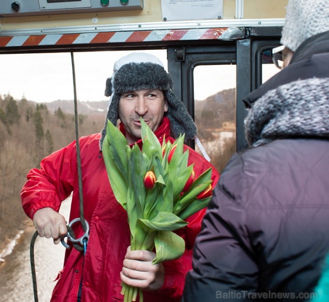 Siguldas Vagoniņa pasažieres Sieviešu dienā saņem ziedus no vīrieša, kurš negaidīti nolaižas no Vagoniņa jumta virs Gaujas 116254