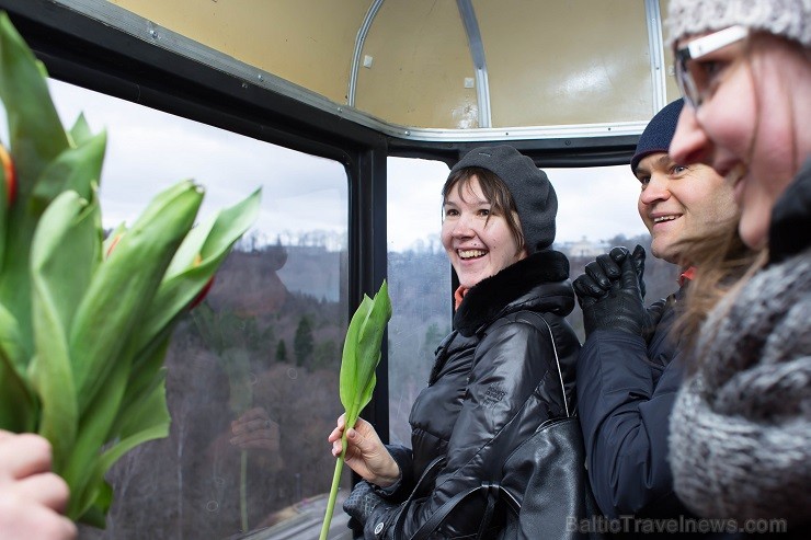 Siguldas Vagoniņa pasažieres Sieviešu dienā saņem ziedus no vīrieša, kurš negaidīti nolaižas no Vagoniņa jumta virs Gaujas 116255