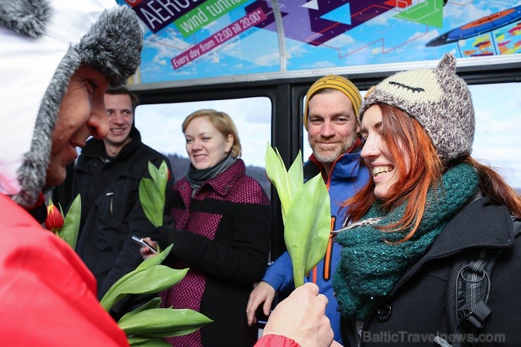 Siguldas Vagoniņa pasažieres Sieviešu dienā saņem ziedus no vīrieša, kurš negaidīti nolaižas no Vagoniņa jumta virs Gaujas 116256
