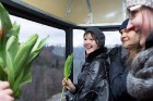 Siguldas Vagoniņa pasažieres Sieviešu dienā saņem ziedus no vīrieša, kurš negaidīti nolaižas no Vagoniņa jumta virs Gaujas 7