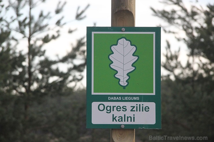 Ogres Zilajos kalnos jaunais tornis ir ieguvis lielu popularitāti. Vairāk informācijas - www.LatvijasCentrs.lv Ogres Zilajos kalnos jaunais tornis ir ieguvis lielu popularitāti. Vairāk informācijas - www.LatvijasCentrs.lv 116623
