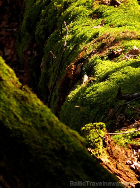 Pavasaris ienāk Siguldā un vilina atpūtniekus ar dabas skaistumu - www.tourism.sigulda.lv 116752