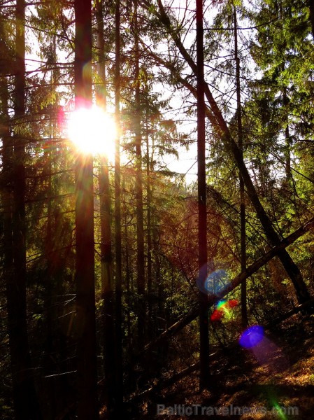 Pavasaris ienāk Siguldā un vilina atpūtniekus ar dabas skaistumu - www.tourism.sigulda.lv 116767